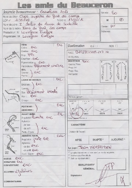 Oups argentée du Fond des Camps - 3e Très Prometteur