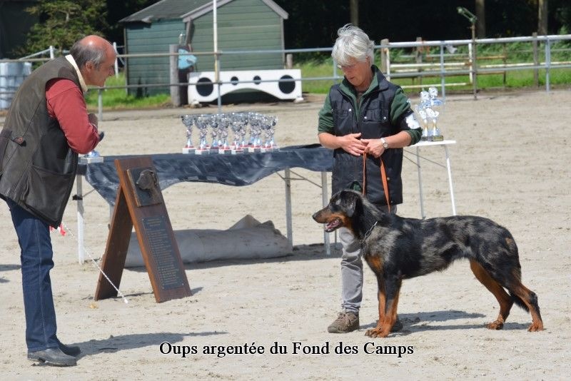 Oups argentée du Fond des Camps - 1e Excellent