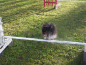 Saika shu fang de la Tangi Morgane