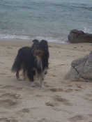 Saika shu fang de la Tangi Morgane