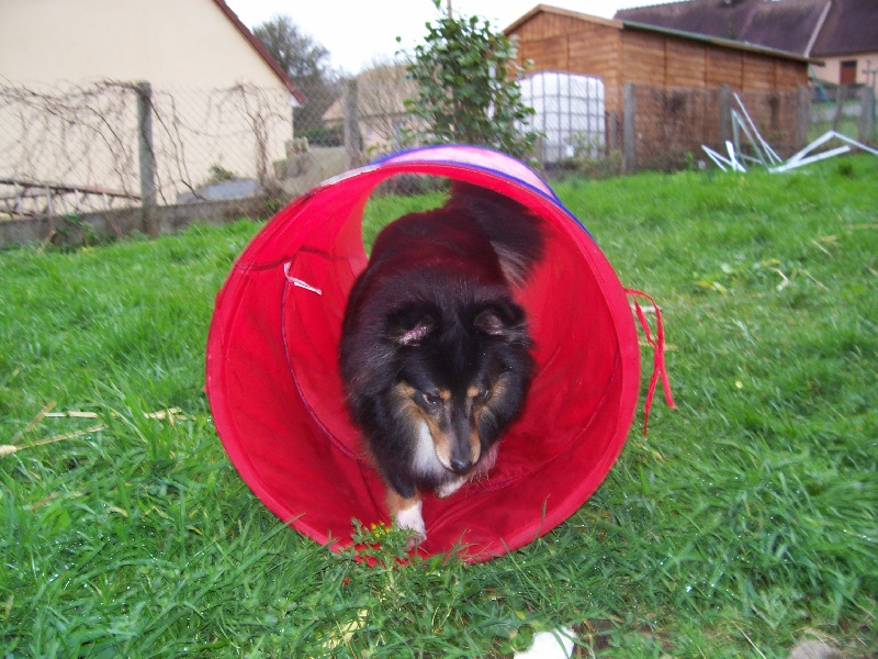 Saika shu fang de la Tangi Morgane