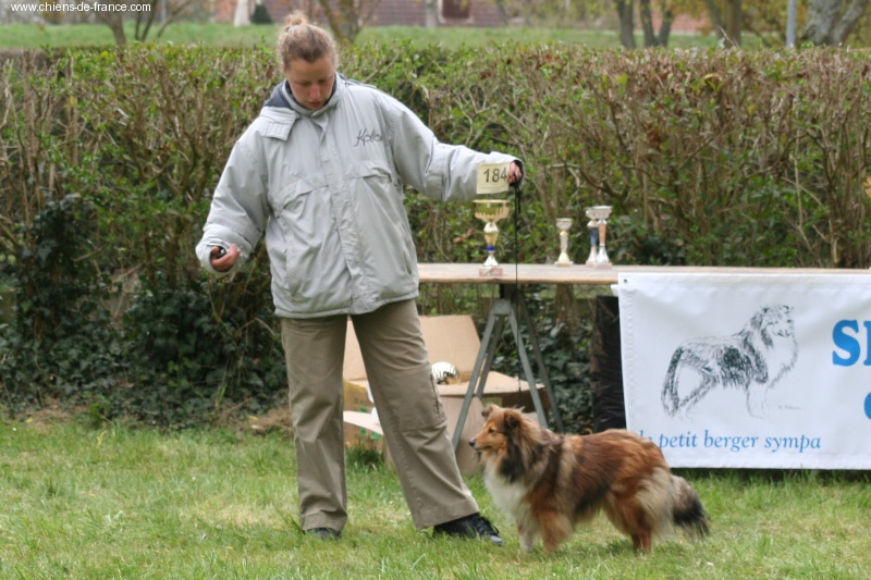 Regate de la Tangi morgane - 5 eme en classe recommandée