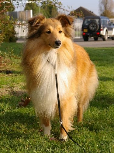 Uwezy du domaine de l'odet - rcacs et confirmation