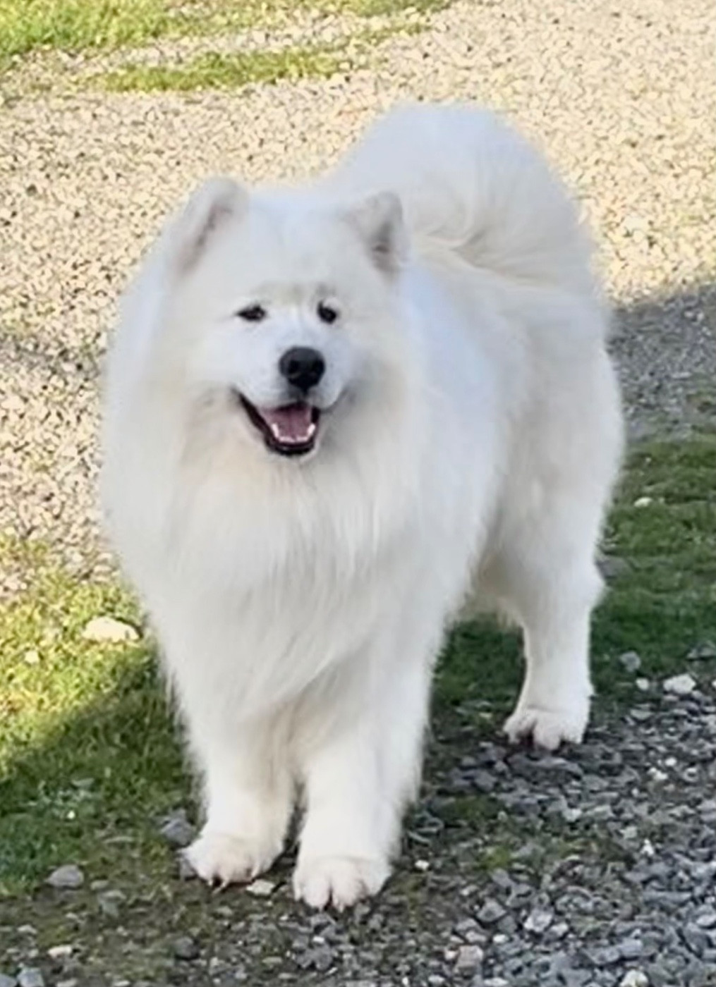 Peter pan du domaine Lecordy