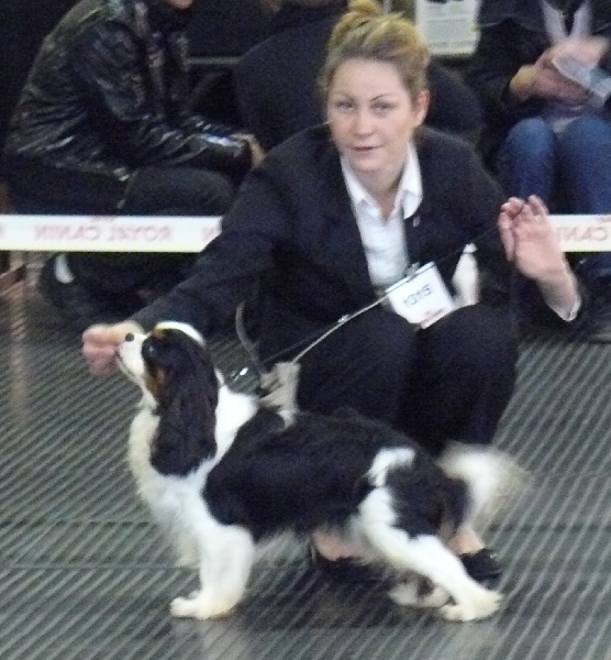 Gillingham de Castelburry - 1er Excellent classe Jeune