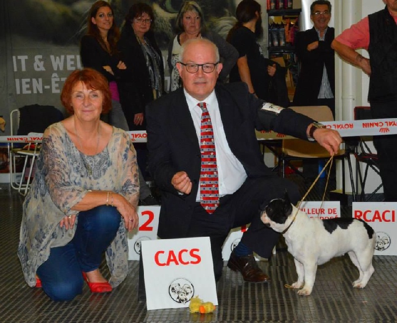 Iphnée des Caubes de la Morganeraie - 1ère EXC - CACS