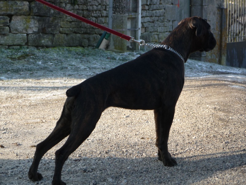 Publication : du câlin d'acier