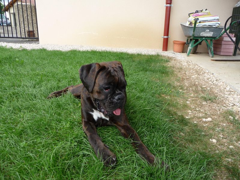 Publication : du câlin d'acier