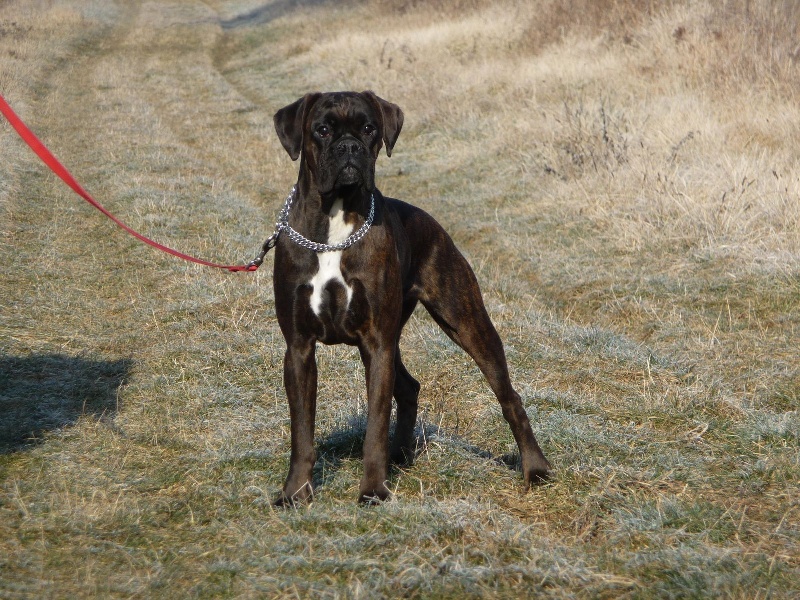 Publication : du câlin d'acier