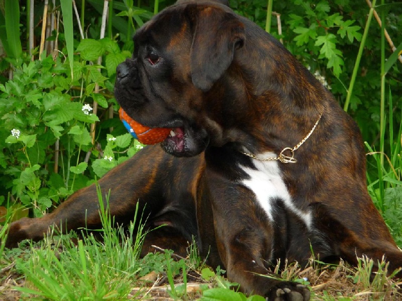 Publication : du câlin d'acier