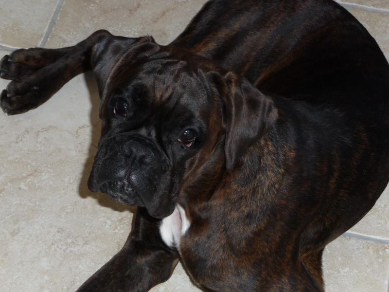 Publication : du câlin d'acier