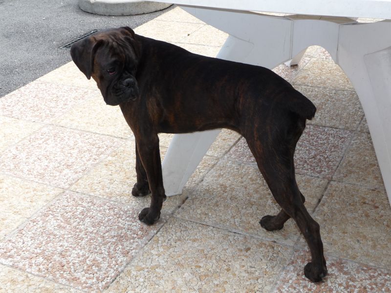 Publication : du câlin d'acier