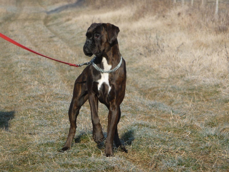 Publication : du câlin d'acier