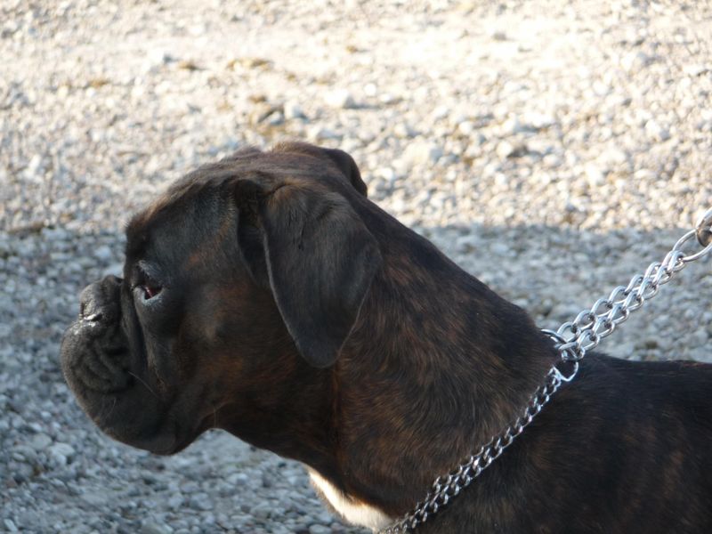 Publication : du câlin d'acier