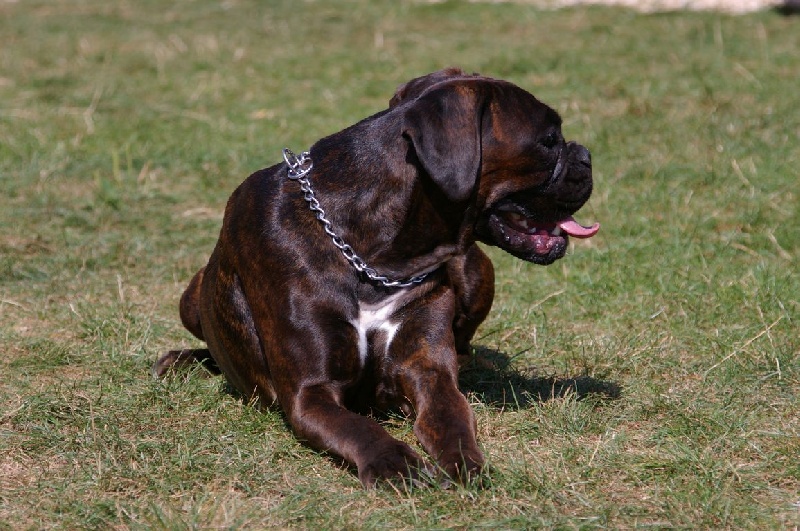 Publication : du câlin d'acier