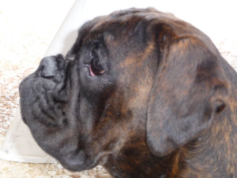 Publication : du câlin d'acier