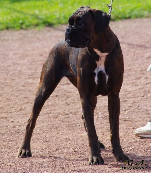 Cannelleskaïa des clefs de Séphire - 2 ème Excel.