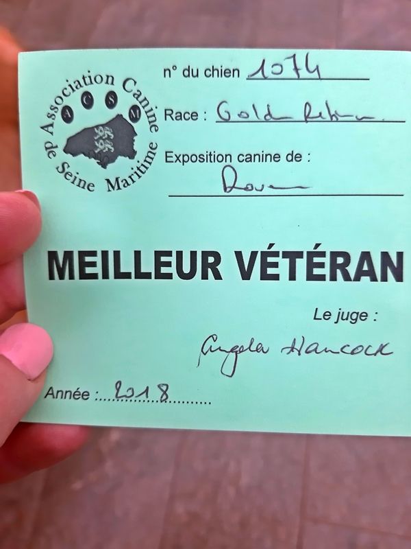 TR. Eone des Mielles du Cap Hôgan - 1ère Excellent et Meilleur Vétéran