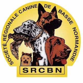 TR. Eone des Mielles du Cap Hôgan - 2ème Très Bon - Classe Travail