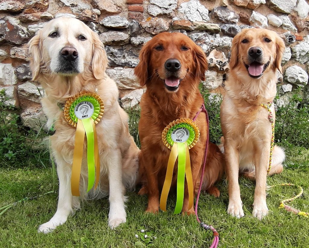 TR. Eone des Mielles du Cap Hôgan - 3ème Excellent - Classe Vétéran