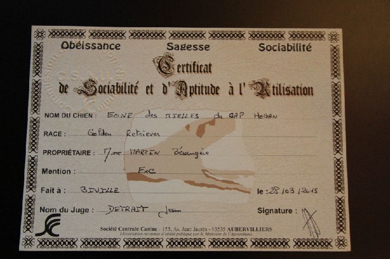 TR. Eone des Mielles du Cap Hôgan - CSAU - Mention Excellent