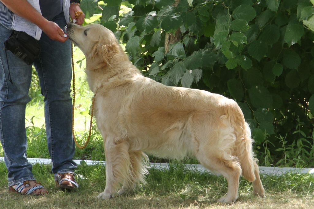 TR. Eone des Mielles du Cap Hôgan - 2ème Excellent - Classe Vétéran