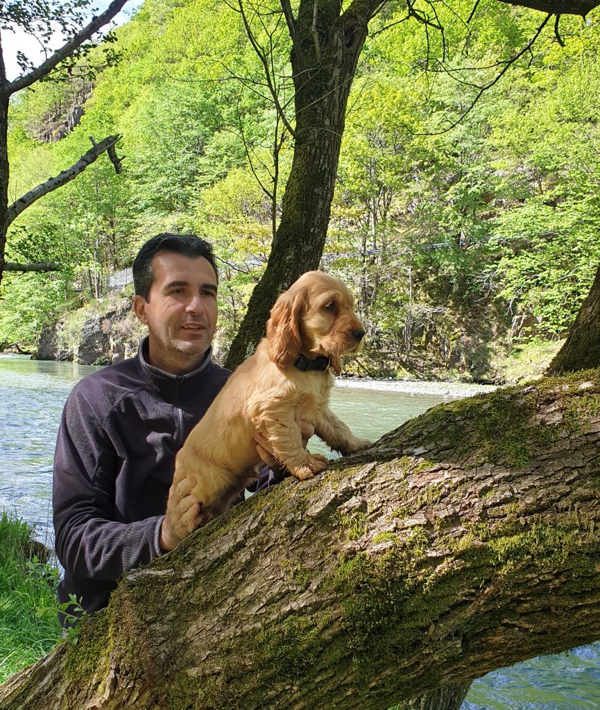 Publication : Du Pech De La Ginestelle