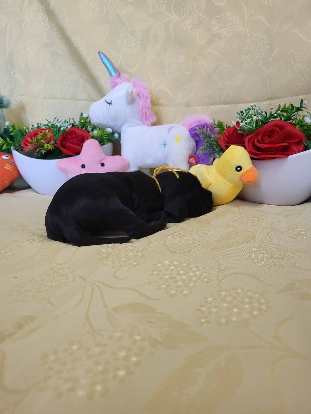 A.......... du domaine de st gladyce !!!