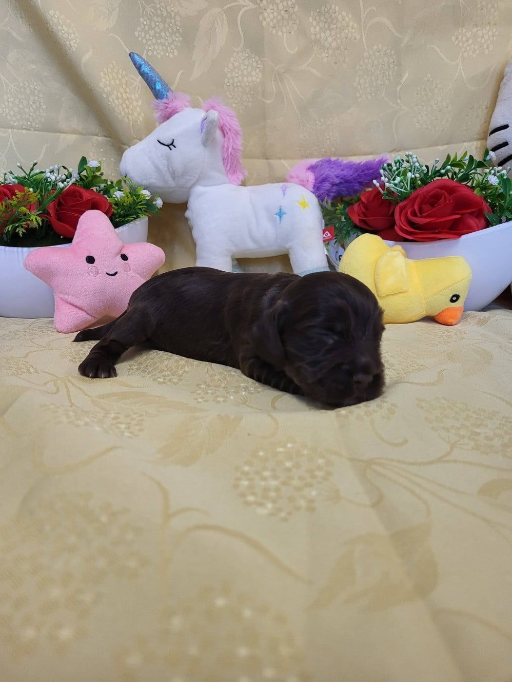 A.......... du domaine de st gladyce !!!