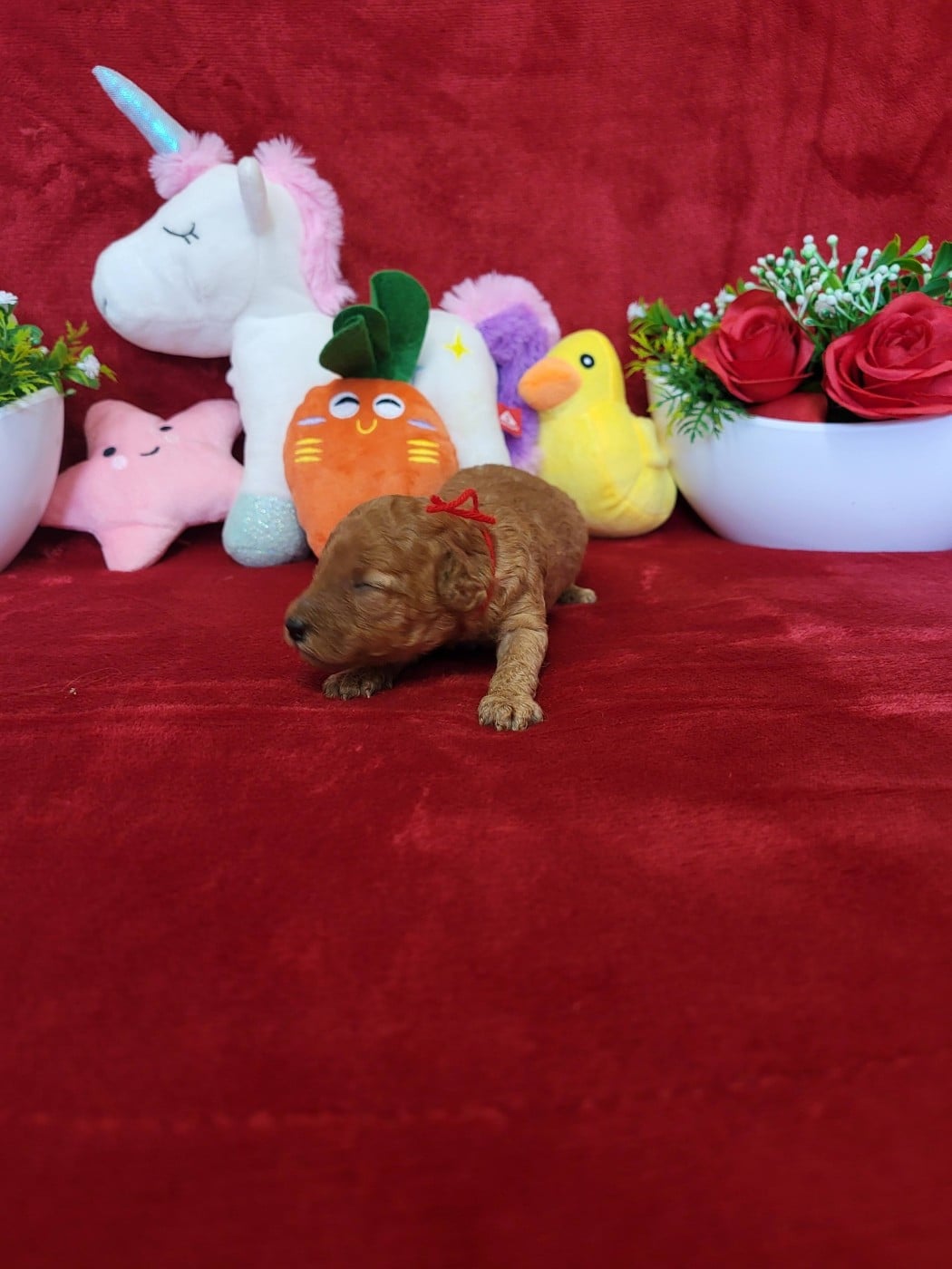 A.......... du domaine de st gladyce !!!