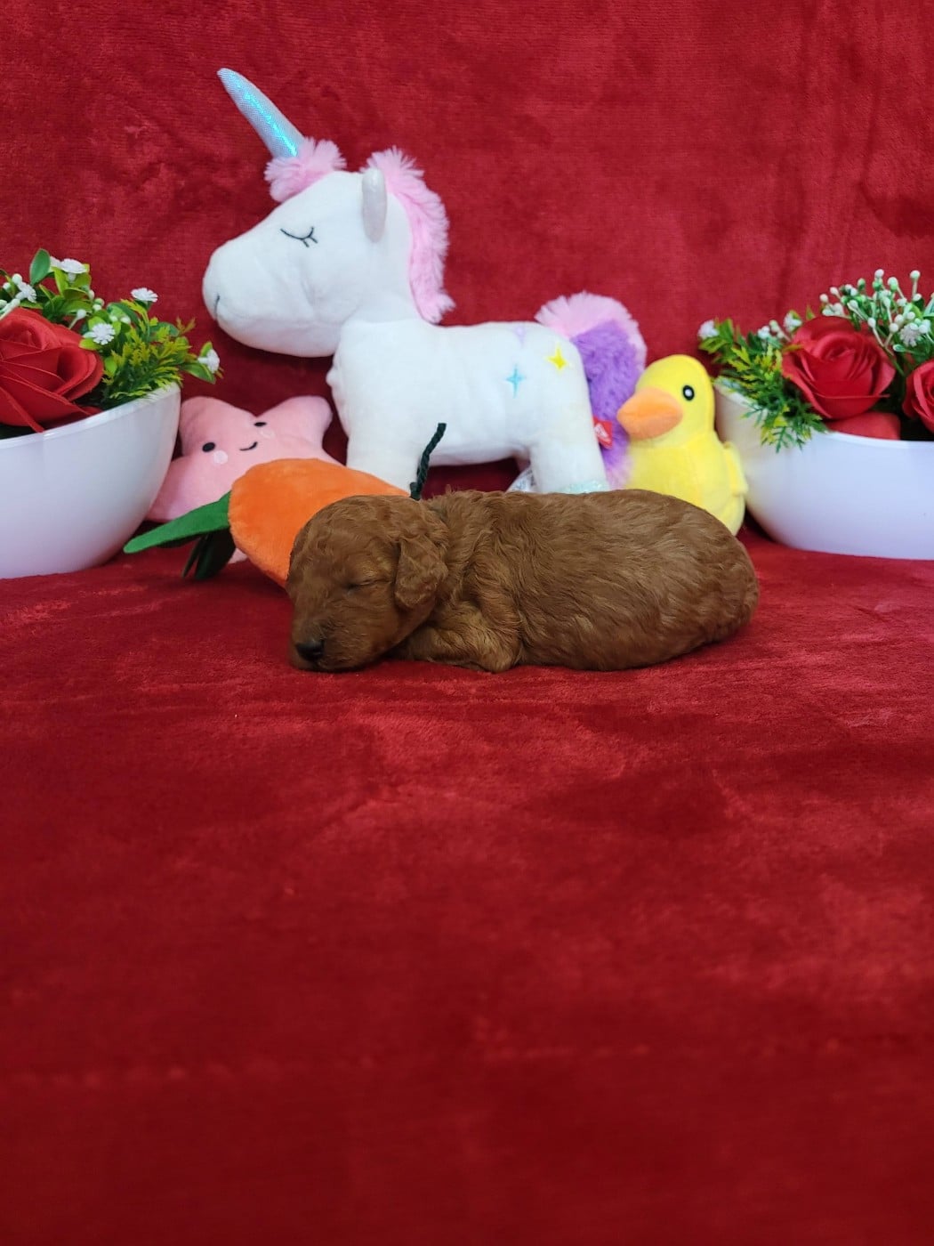 A.......... du domaine de st gladyce !!!