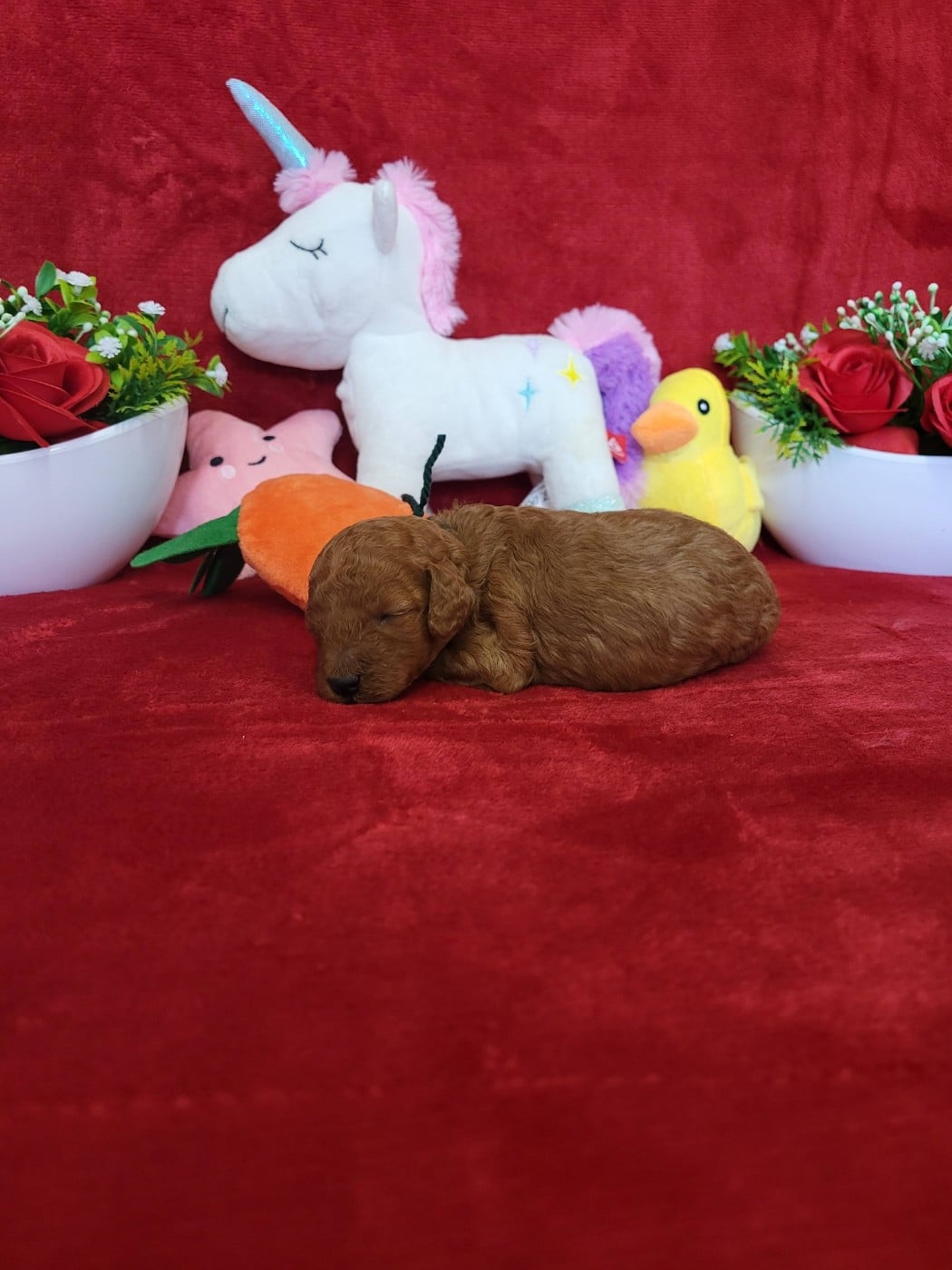 A.......... du domaine de st gladyce !!!