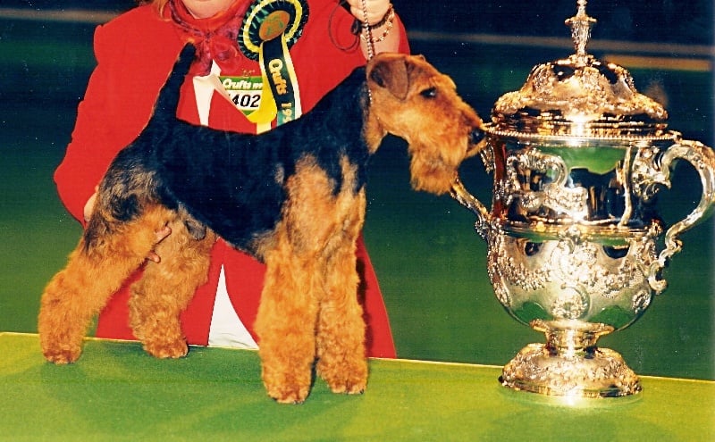 Publication : de la fontaine d'Edonis Auteur : saredon