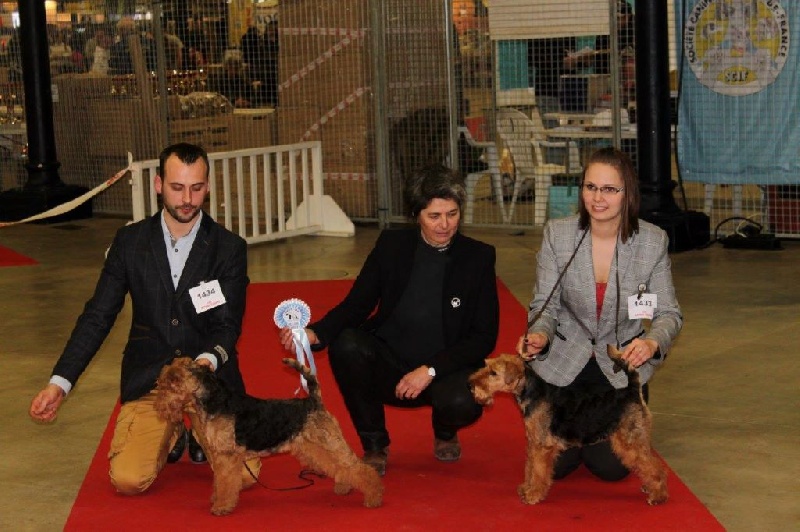 CH. kebulak Seductress - CACIB BOB