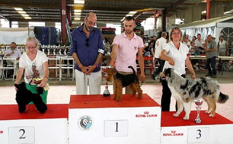 CH. kebulak Seductress - Très Prometteur BOBP BISP