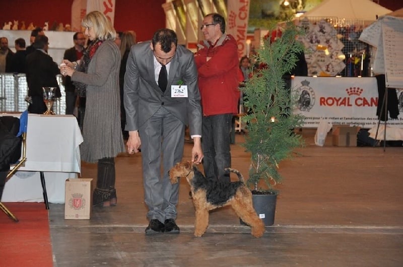 CH. kebulak Seductress - RCAC RCACIB