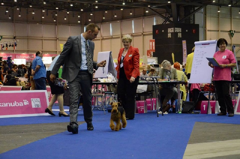 CH. kebulak Seductress - RCAC 2ème Excellent