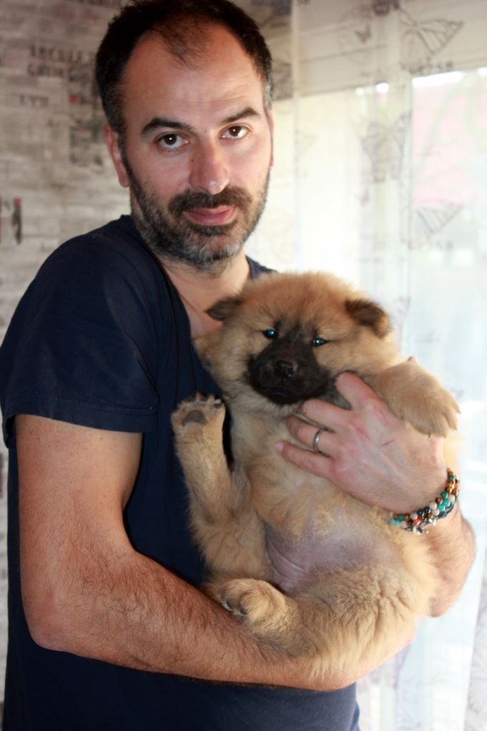 CH. Mazette de l'Odyssée des Muses