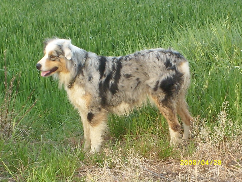 Publication : de l'Odyssée des Muses