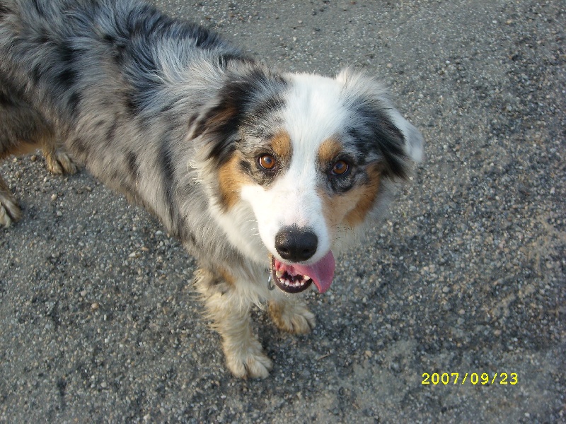 Publication : de l'Odyssée des Muses