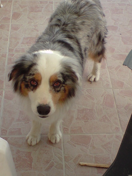 Publication : de l'Odyssée des Muses