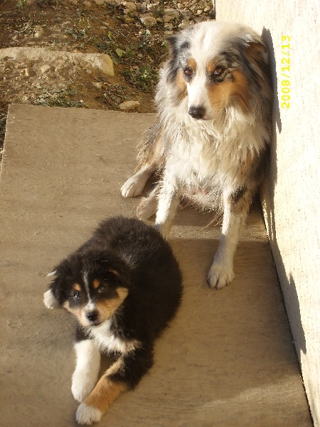 Publication : de l'Odyssée des Muses