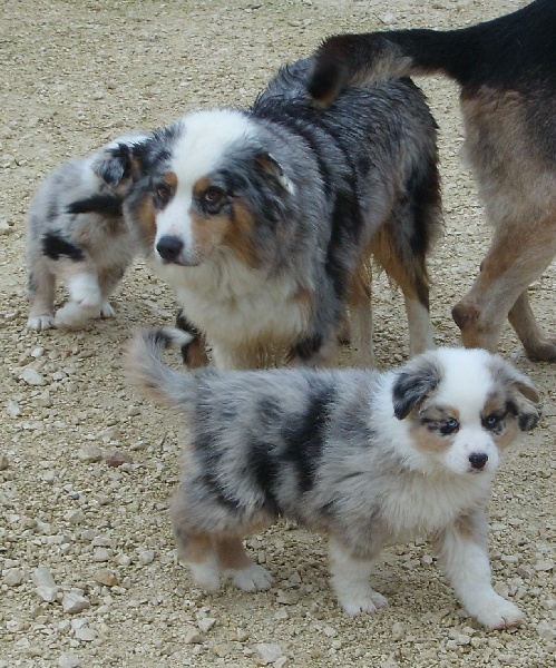 Publication : de l'Odyssée des Muses