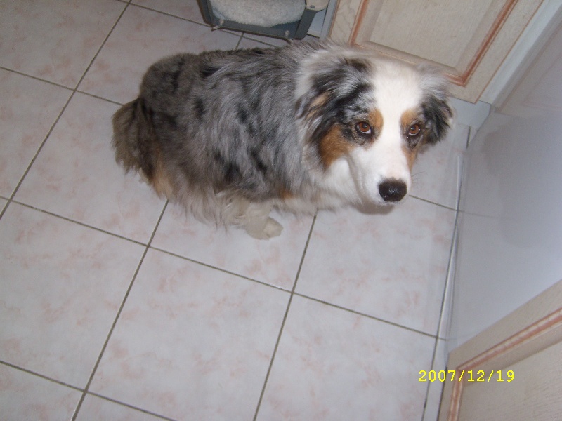 Publication : de l'Odyssée des Muses