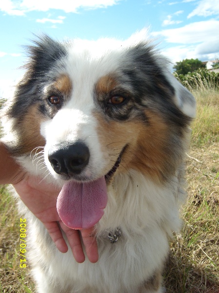 Publication : de l'Odyssée des Muses