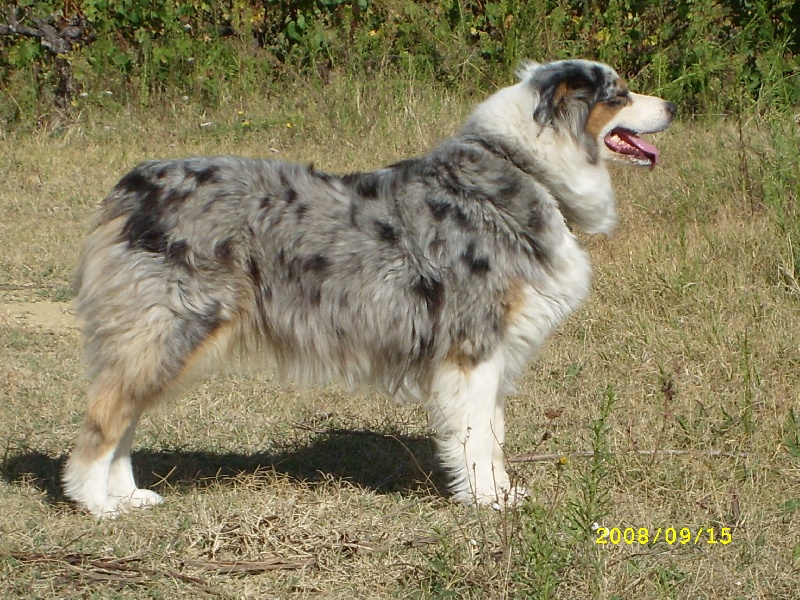 Publication : de l'Odyssée des Muses