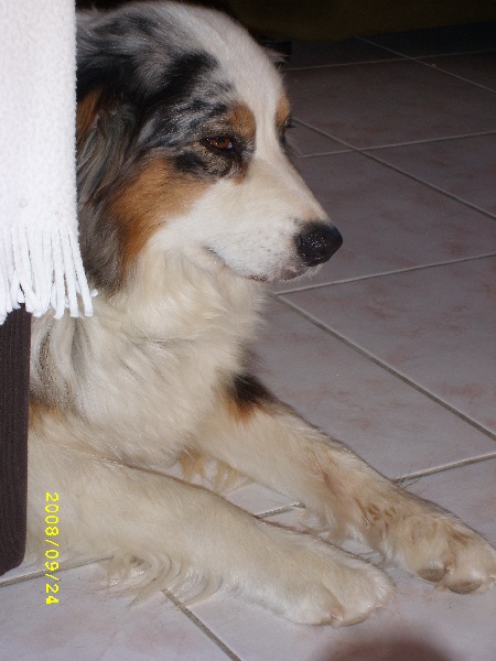 Publication : de l'Odyssée des Muses