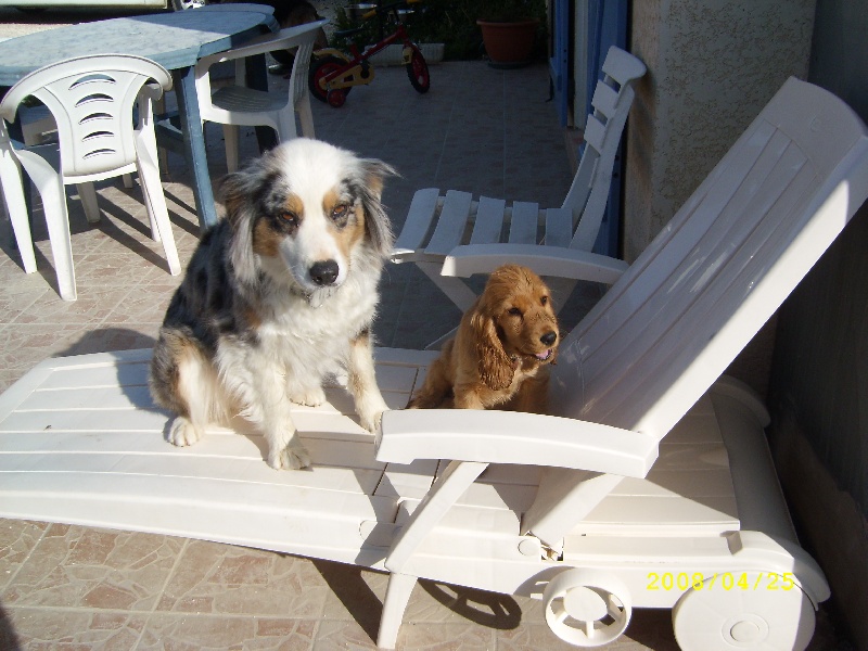 Publication : de l'Odyssée des Muses