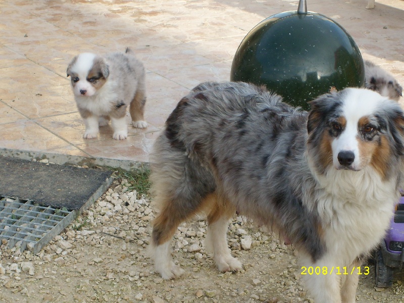 Publication : de l'Odyssée des Muses