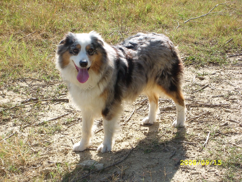 Publication : de l'Odyssée des Muses